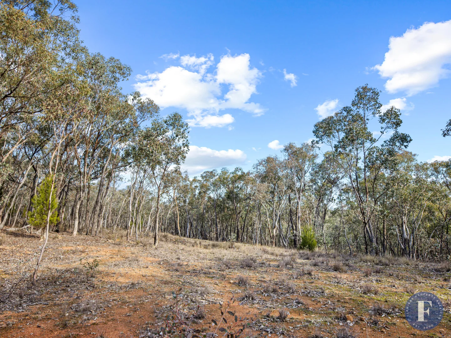 Additional image 6 of Lot 23 Caringa Road, Godfreys Creek NSW 2586