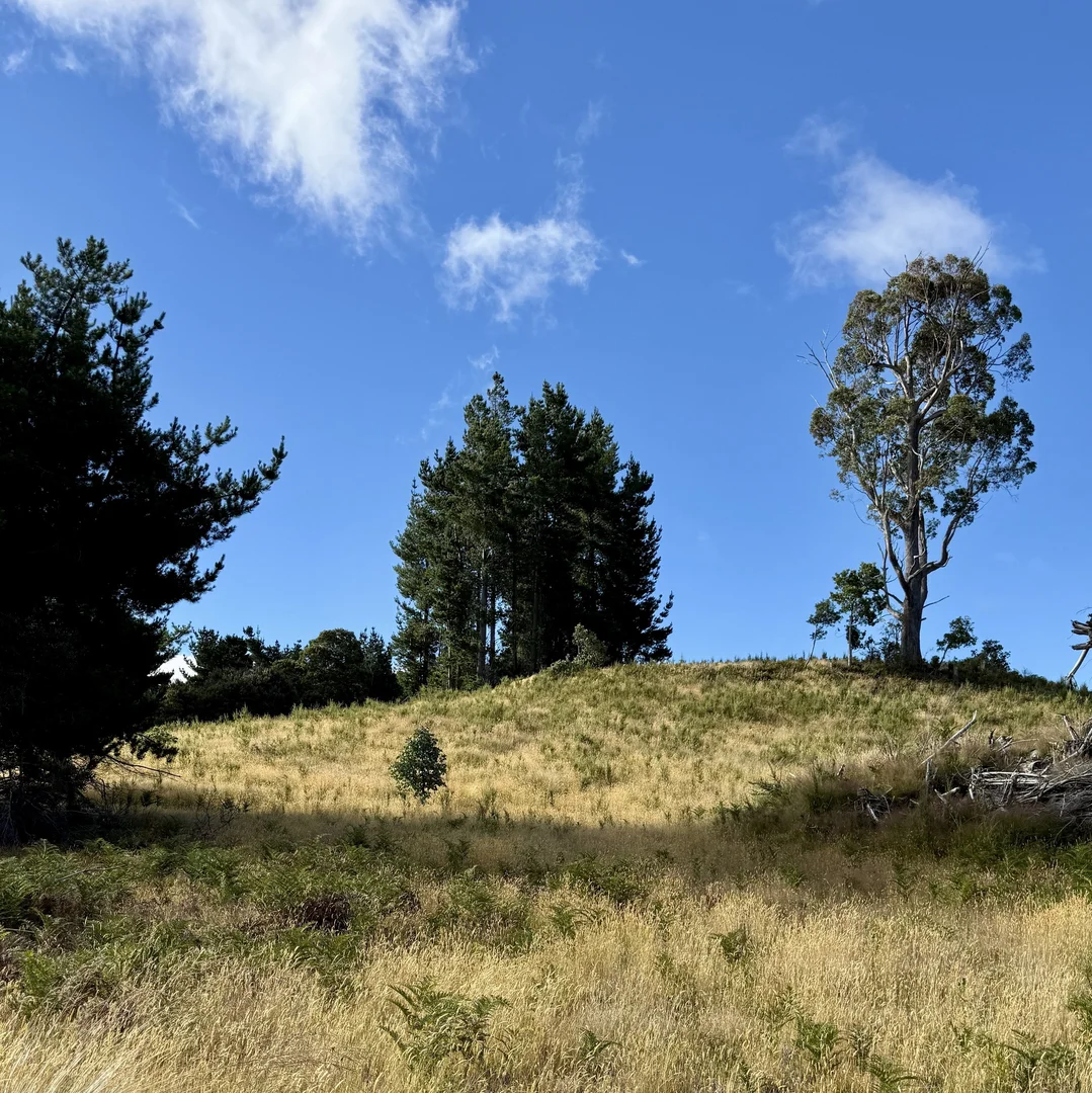 Additional image 8 of 1390 Loongana Road, Loongana TAS 7315