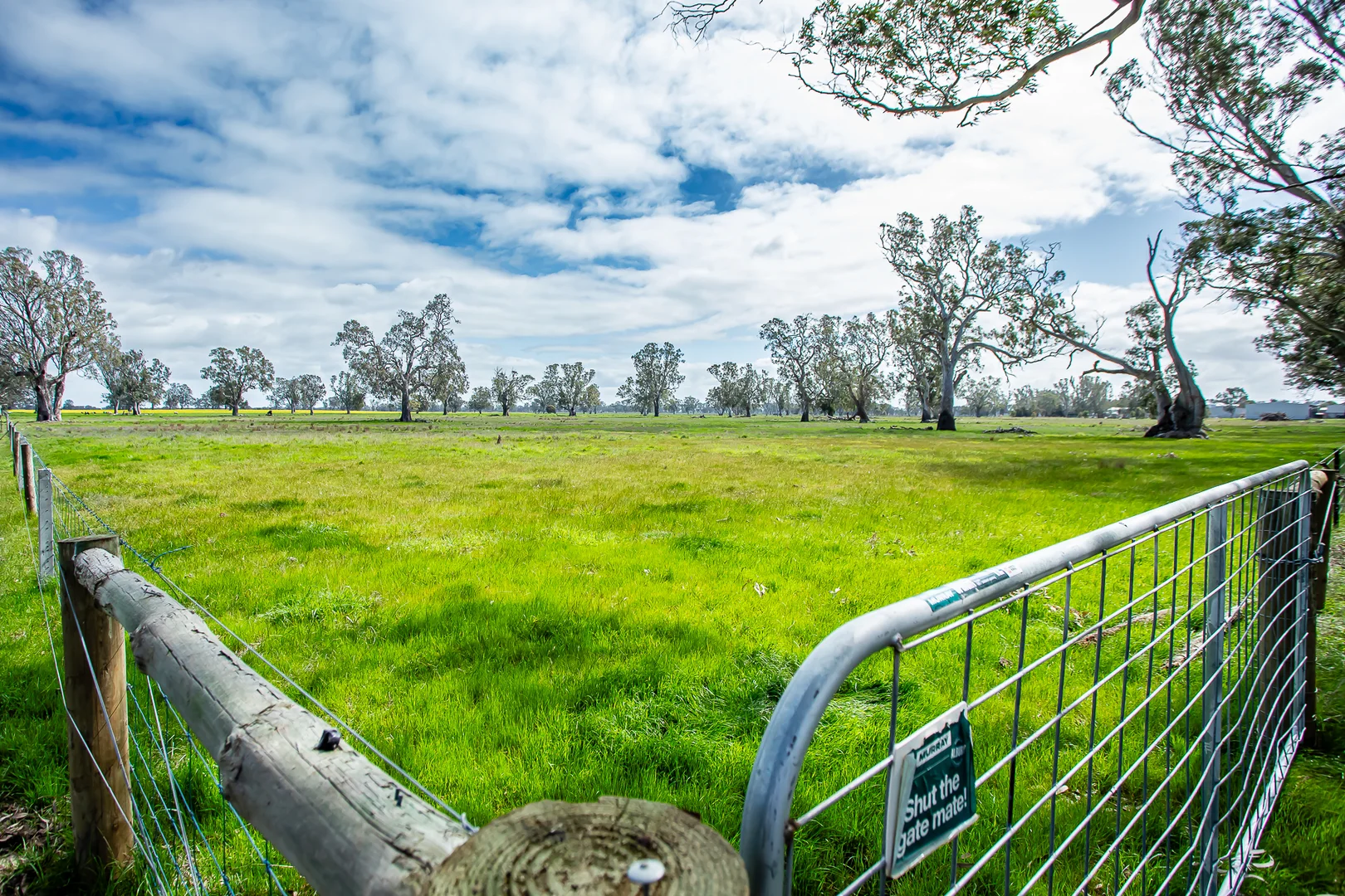 Additional image 8 of 58 Camerons and Lampards Road, Charam VIC 3318
