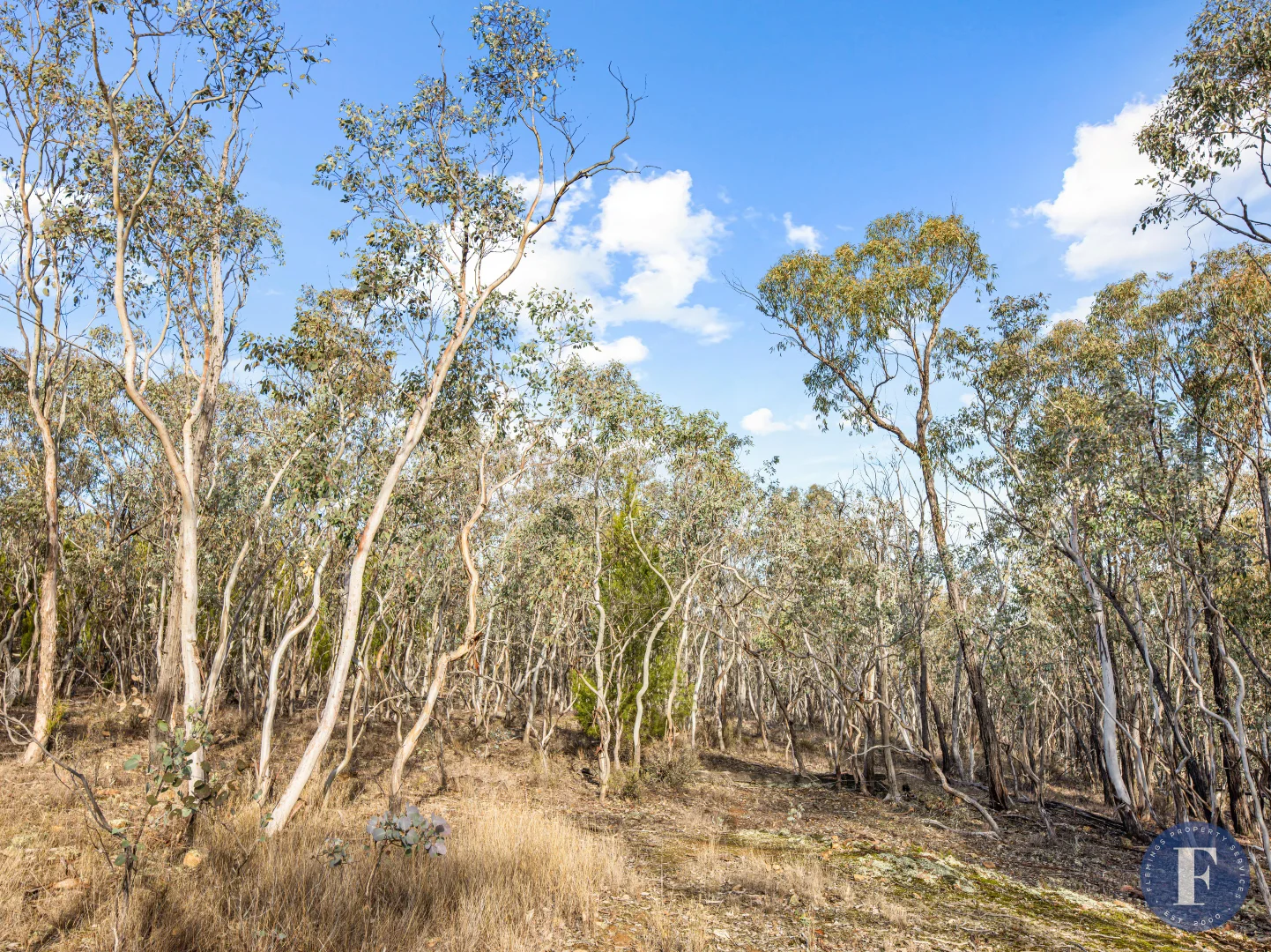 Additional image 4 of Lot 23 Caringa Road, Godfreys Creek NSW 2586