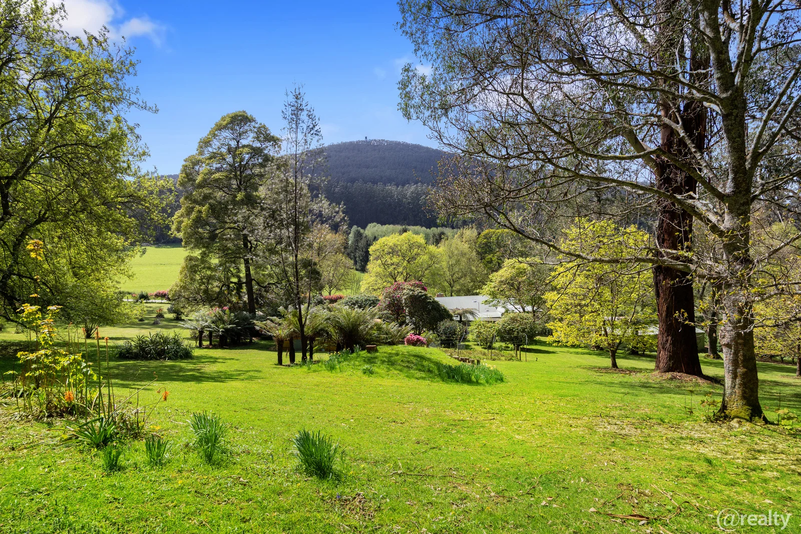 Additional image 29 of 3/987 Myers Creek Road, Toolangi VIC 3777