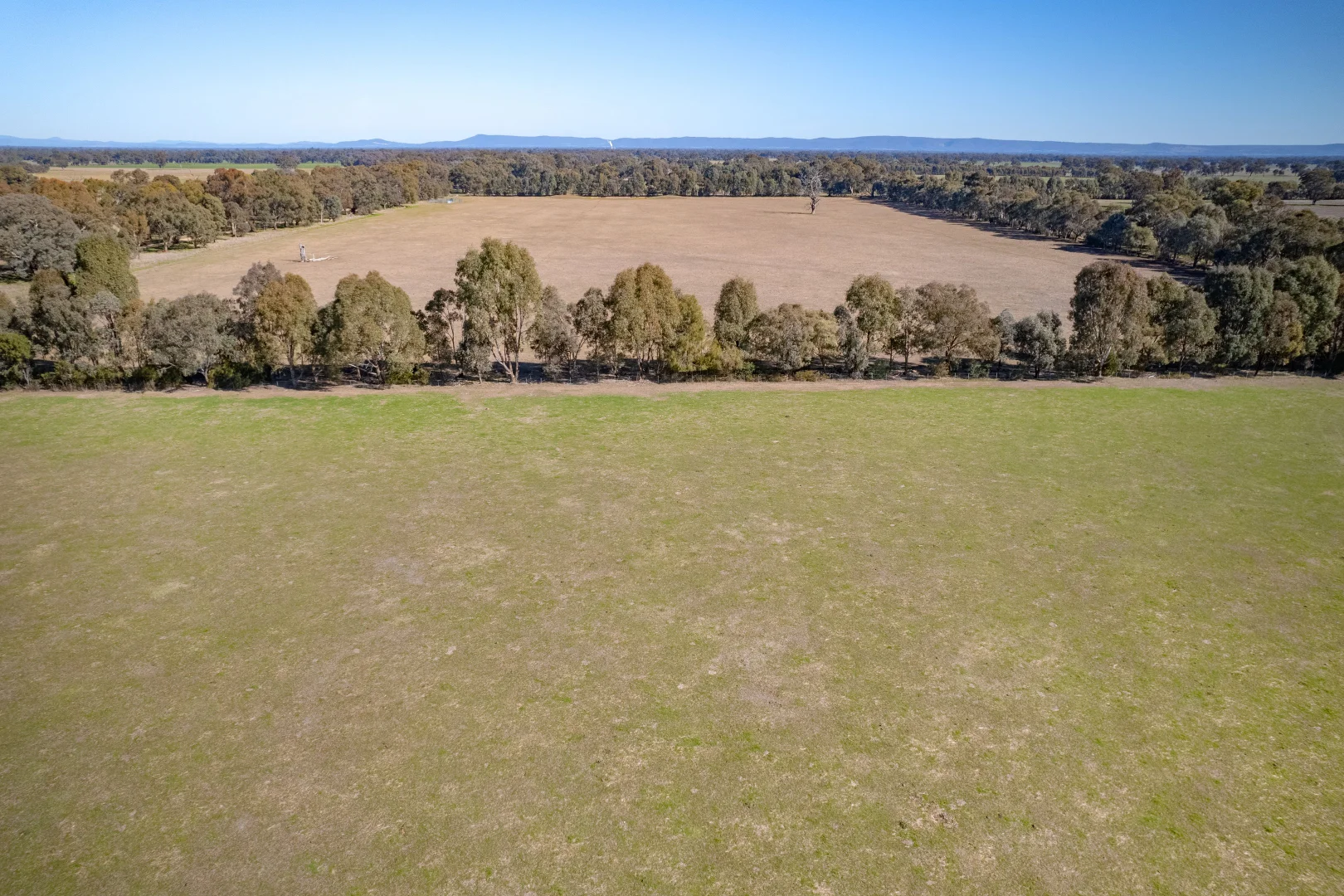 Additional image 9 of 486 Carraragarmungee Estate Road, Byawatha VIC 3678