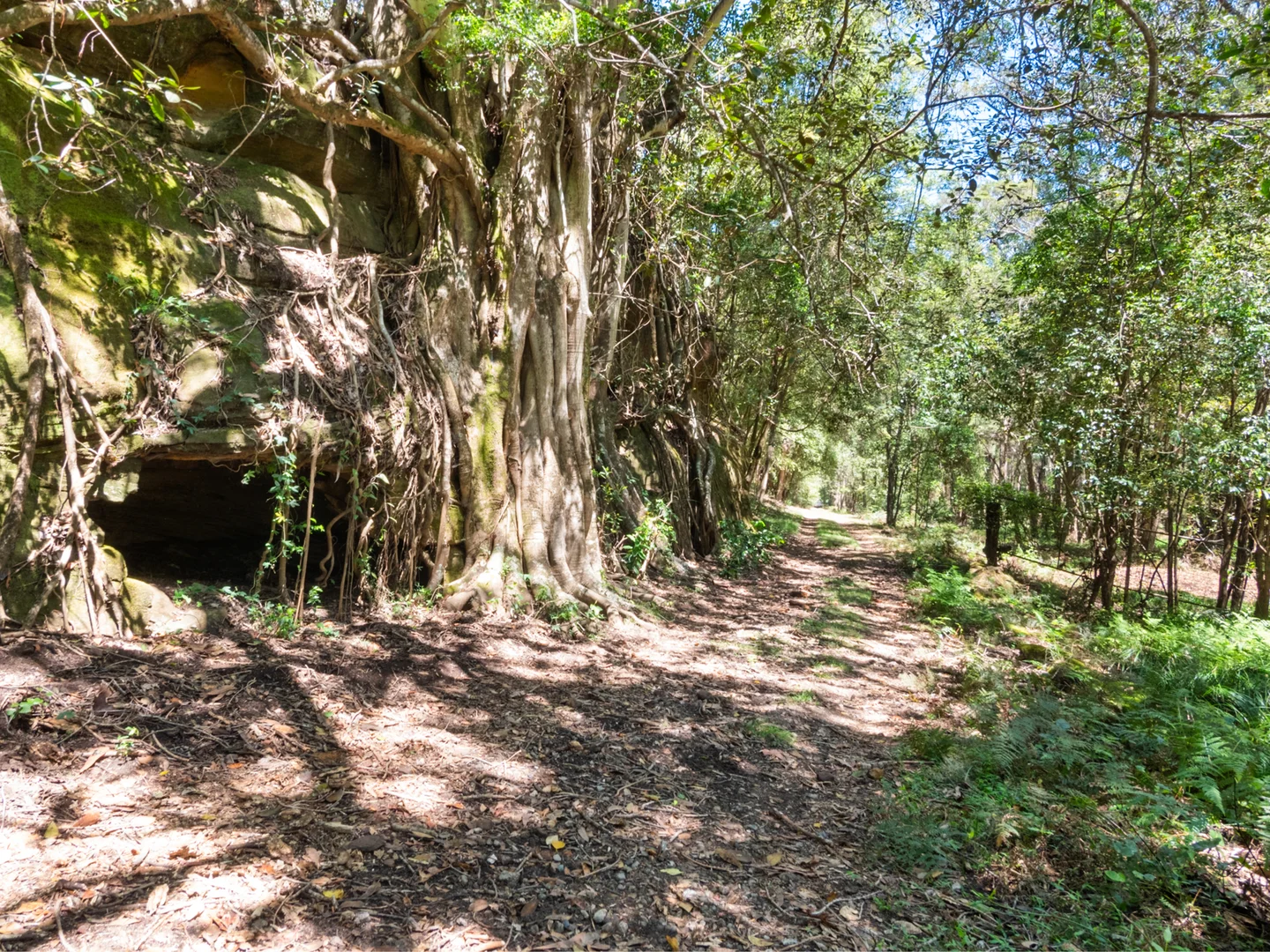 Additional image 33 of 277A, B, C Upper Colo Road, Colo NSW 2756