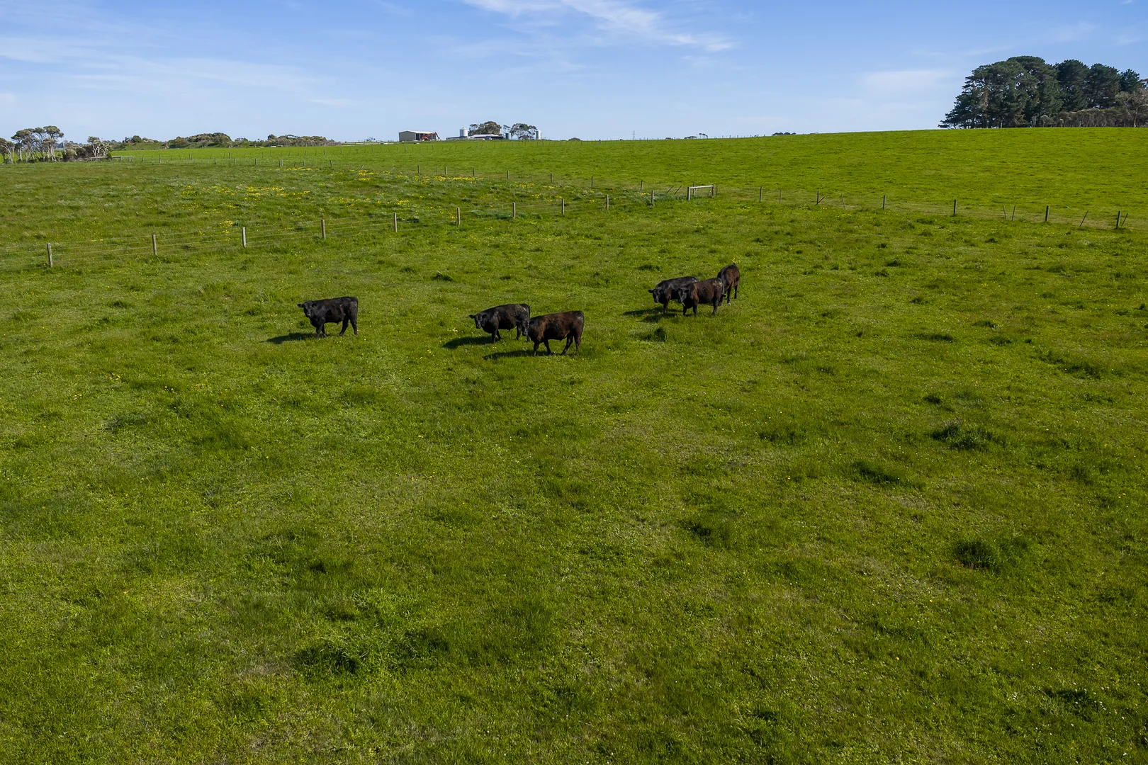 Additional image 16 of 180 Pound Creek Road, Pound Creek VIC 3996