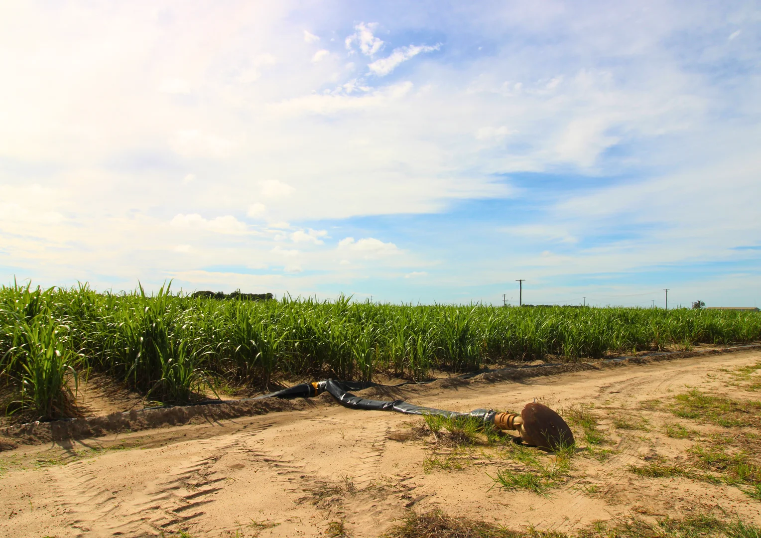 Additional image 6 of Lot 2 Barazzas Road, Alloway QLD 4670