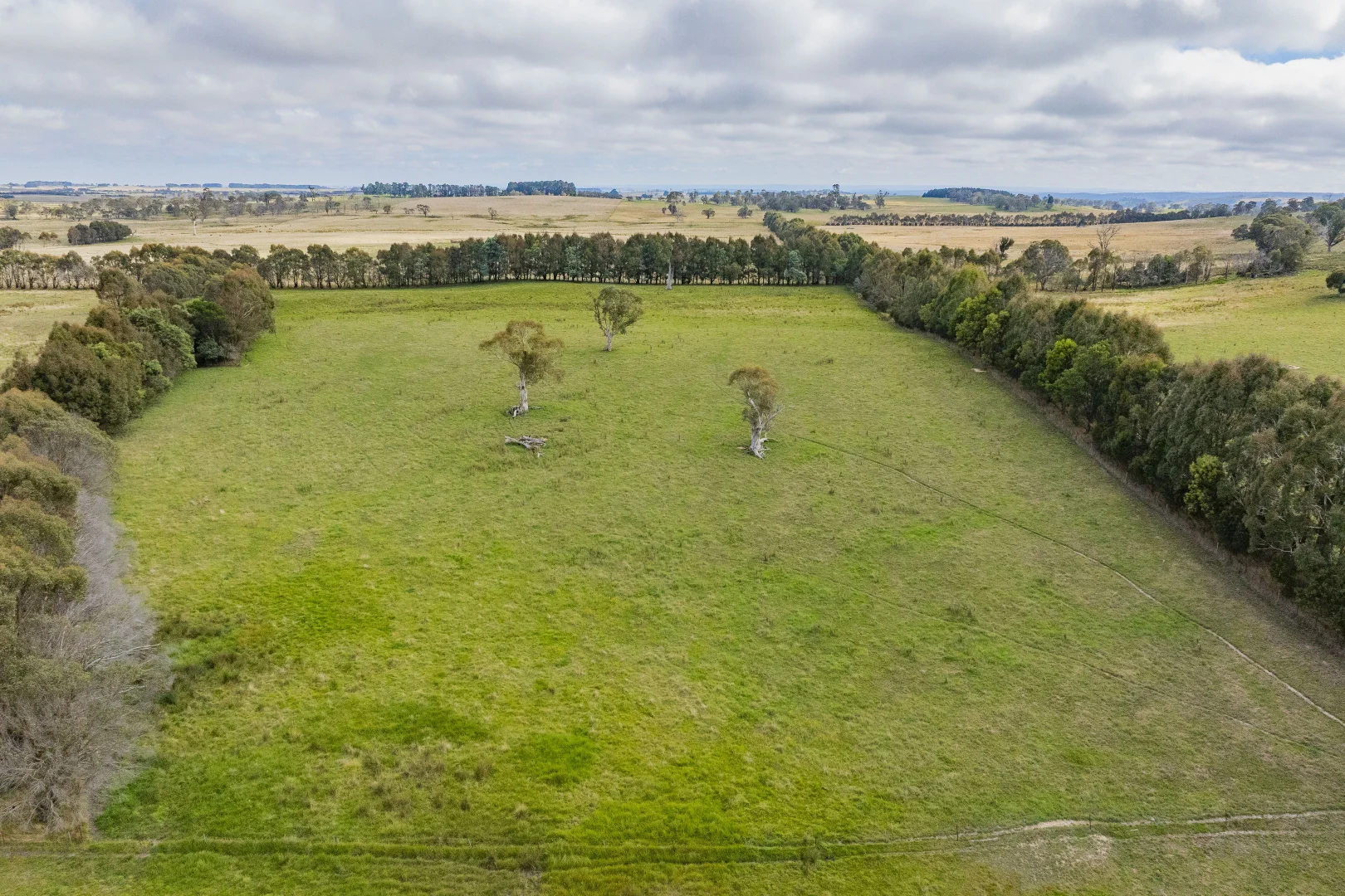 Additional image 31 of 251 Mount Rae Road, Roslyn NSW 2580