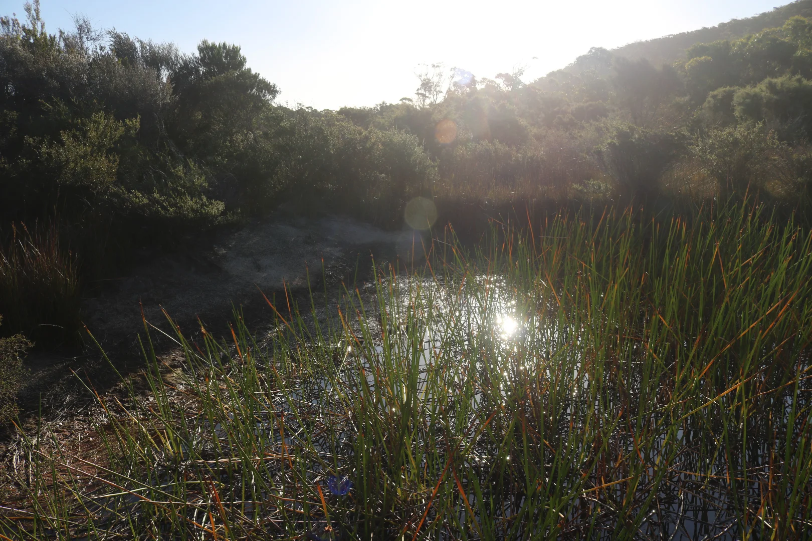 Additional image 13 of PID 7305093 West End Road, Leeka TAS 7255