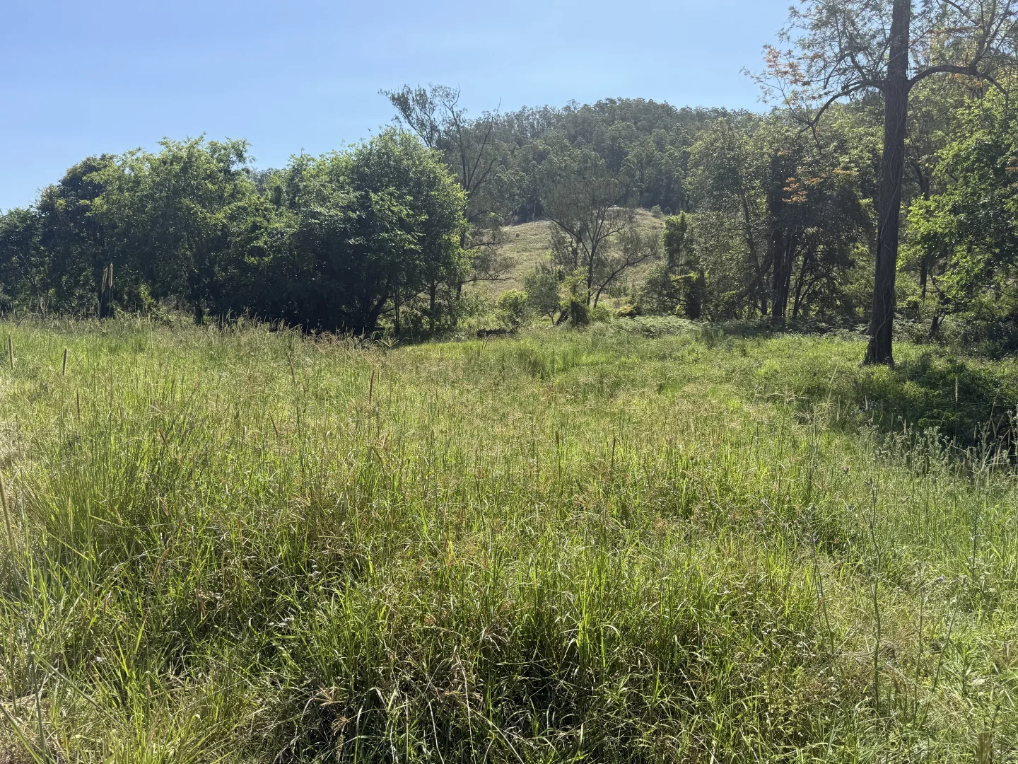 Additional image 19 of 1050 Afterlee Rd, Eden Creek NSW 2474