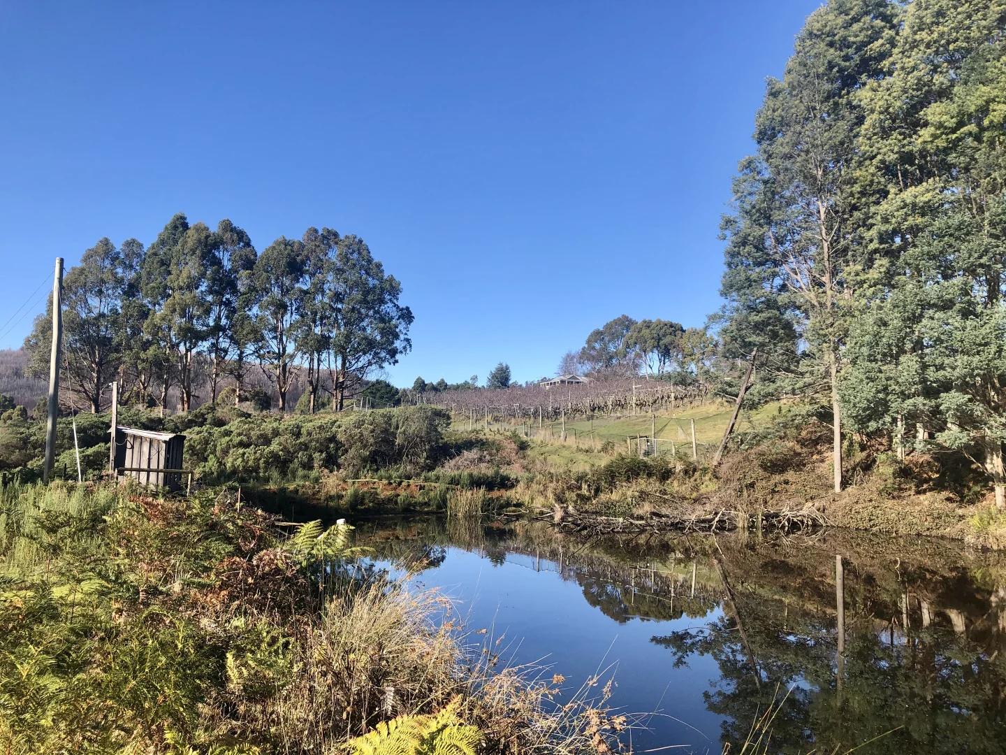 Additional image 3 of 304 Dickensons Creek Road, Glen Huon TAS 7109