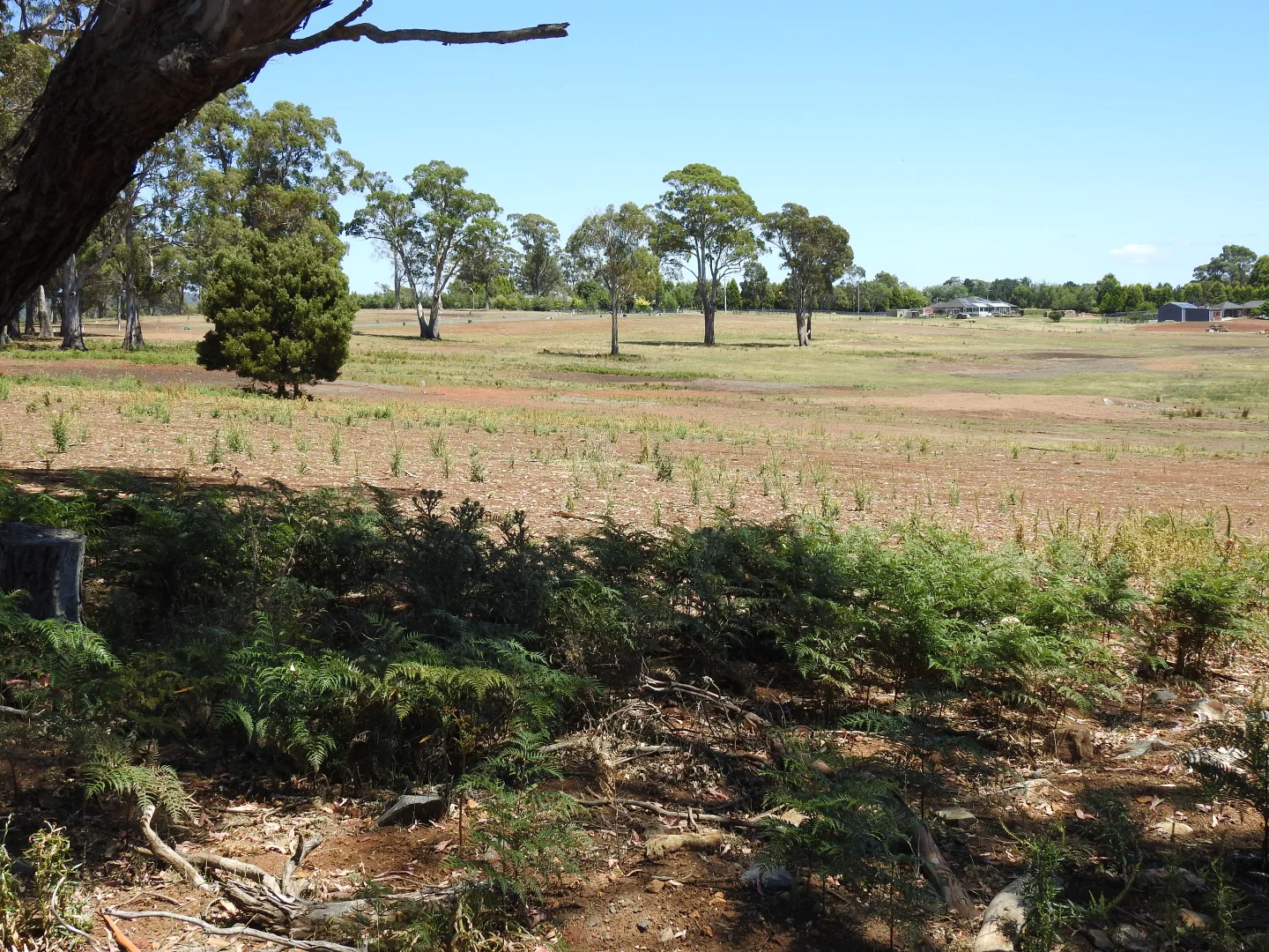 Additional image 13 of 5A Eiger Court, Grindelwald TAS 7277