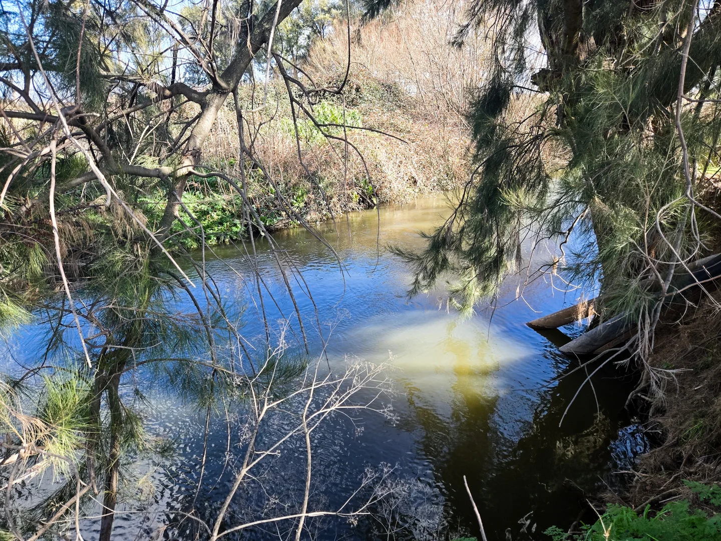 Additional image 15 of 349 Nangar Road, Canowindra NSW 2804