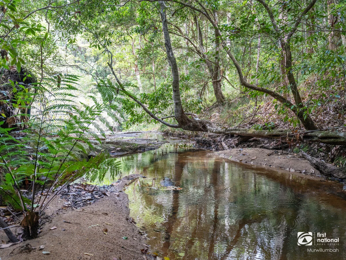 Additional image 5 of 563 Commissioners Creek Road, Commissioners Creek NSW 2484
