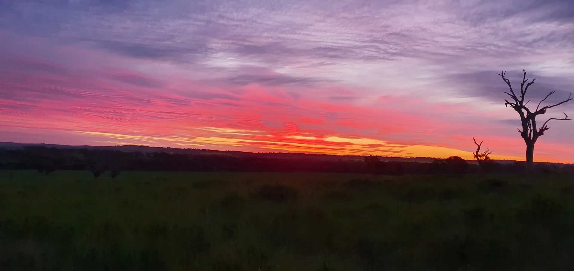 Additional image 6 of Young NSW 2594