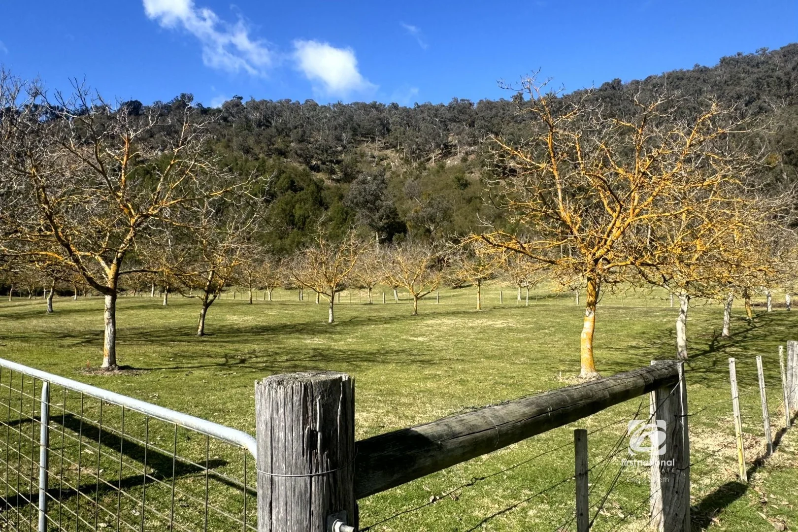 Additional image 14 of 405 Castleburn Creek Road, Dargo VIC 3862