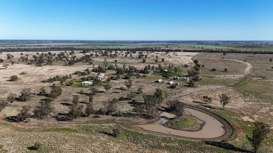 Additional image 5 of 125-291 GOORIANAWA ROAD, Mount Tenandra NSW 2828