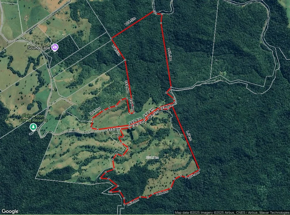 Additional image 71 of 780 MIDDLEBROOK ROAD, Millaa Millaa QLD 4886