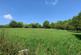 Additional image 15 of The Dens, Wadhurst, East Sussex, TN5