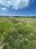 Additional image 4 of Cwmduad SA33