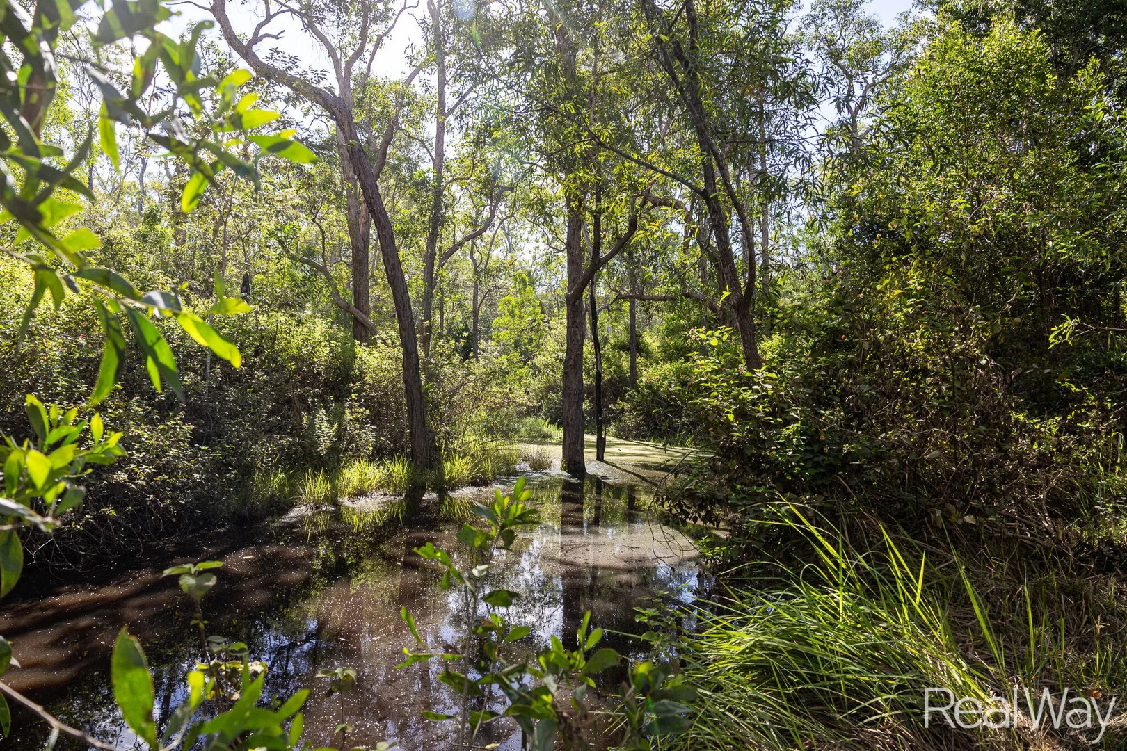 2 Jacksons Road, South Isis QLD 4660