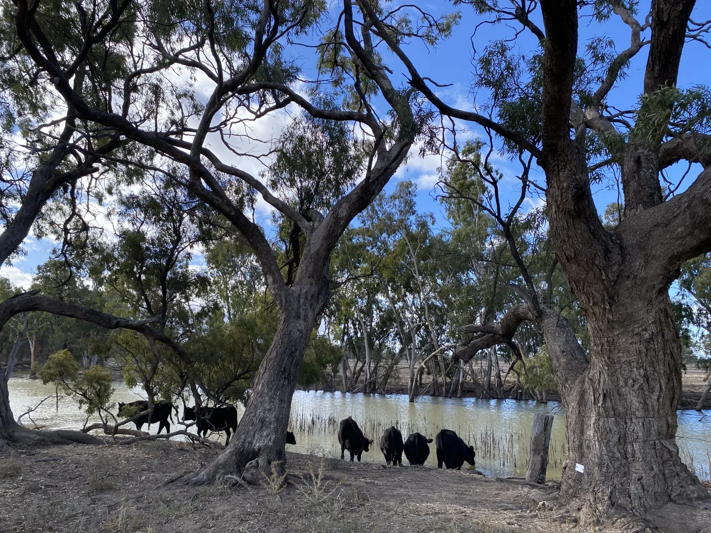 Additional image 51 of 'Wetuppa' 245 Fisher Lane, Wetuppa NSW 2734