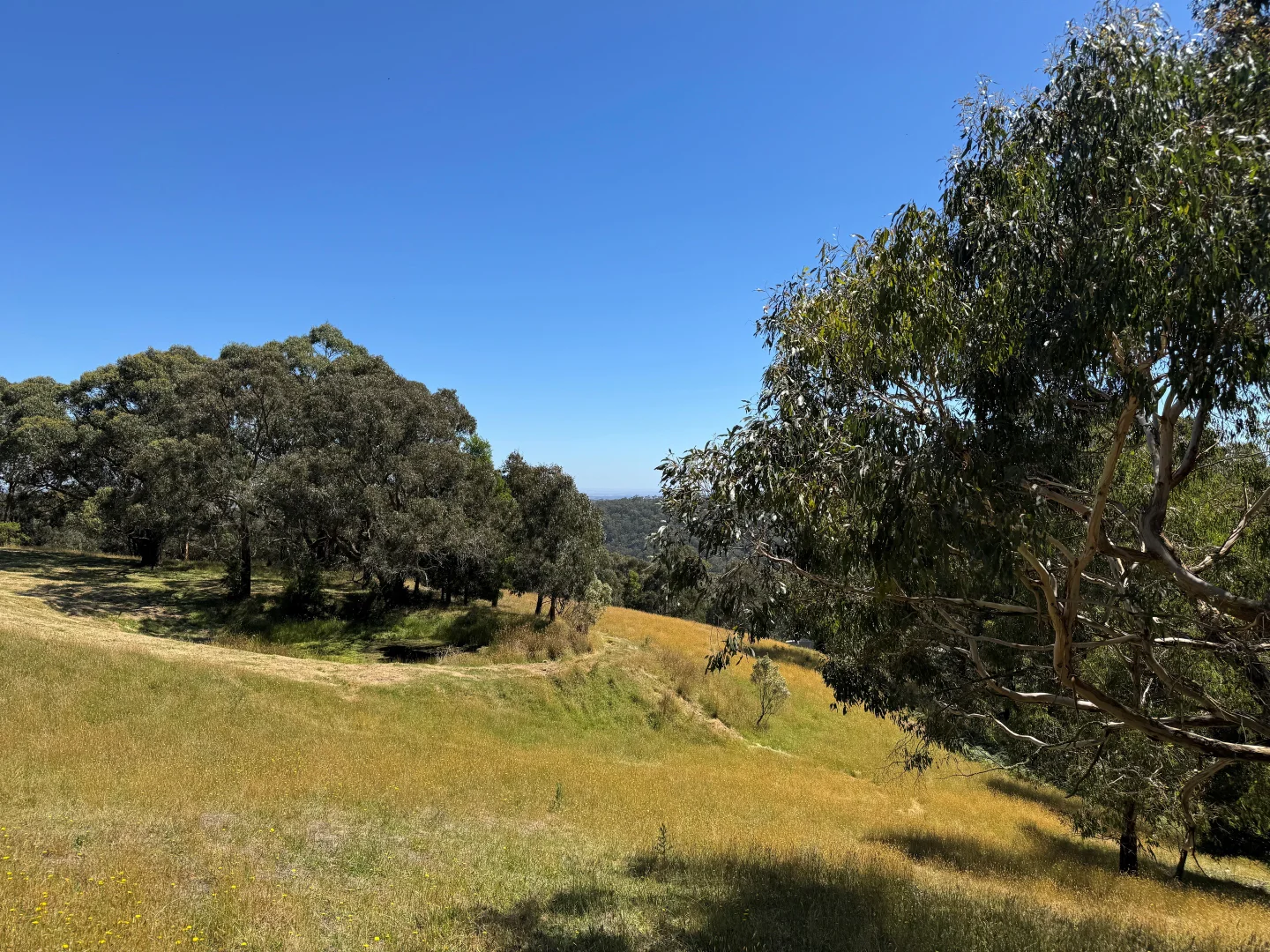 Additional image 2 of 575 Deans Marsh Lorne Road, Deans Marsh VIC 3235