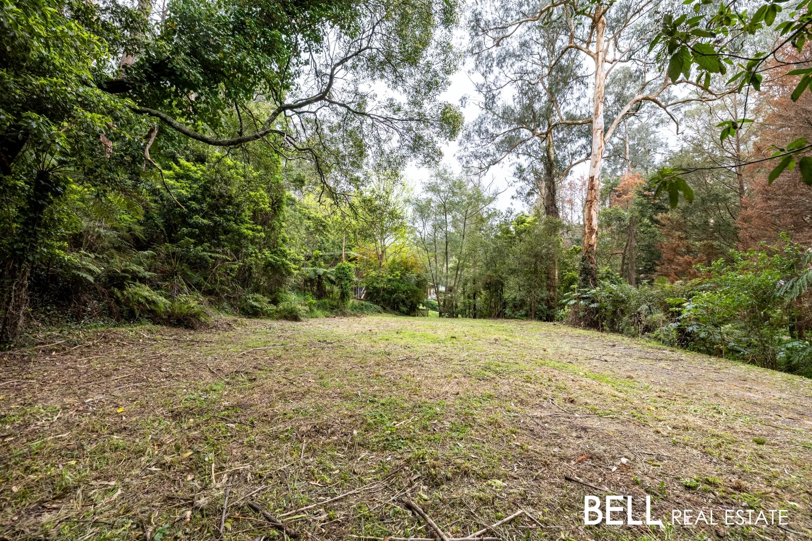 Additional image 6 of 103 Belgrave-Gembrook Road, Selby VIC 3159
