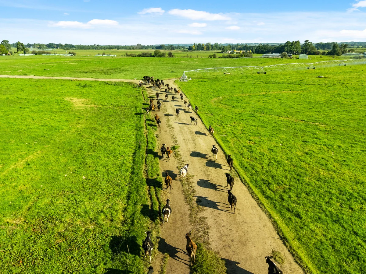 Additional image 6 of Boisdale-Valencia Creek Road, Boisdale VIC 3860