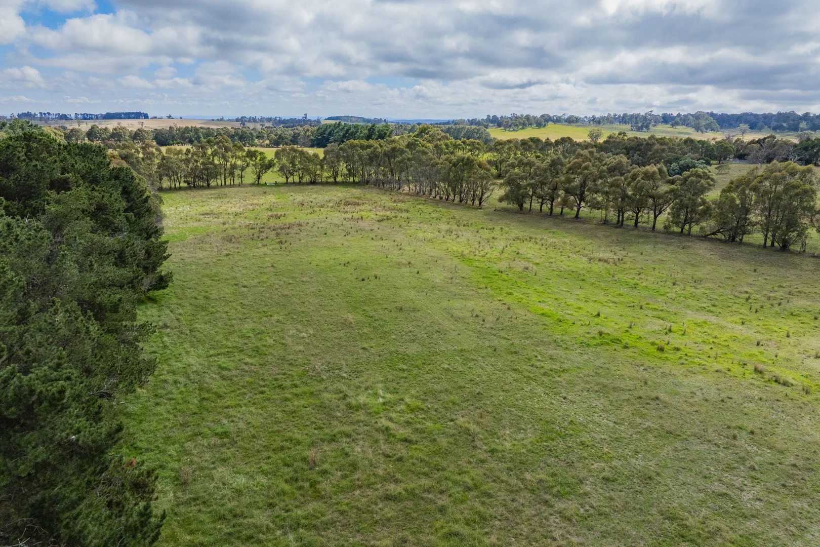 Additional image 37 of 251 Mount Rae Road, Roslyn NSW 2580