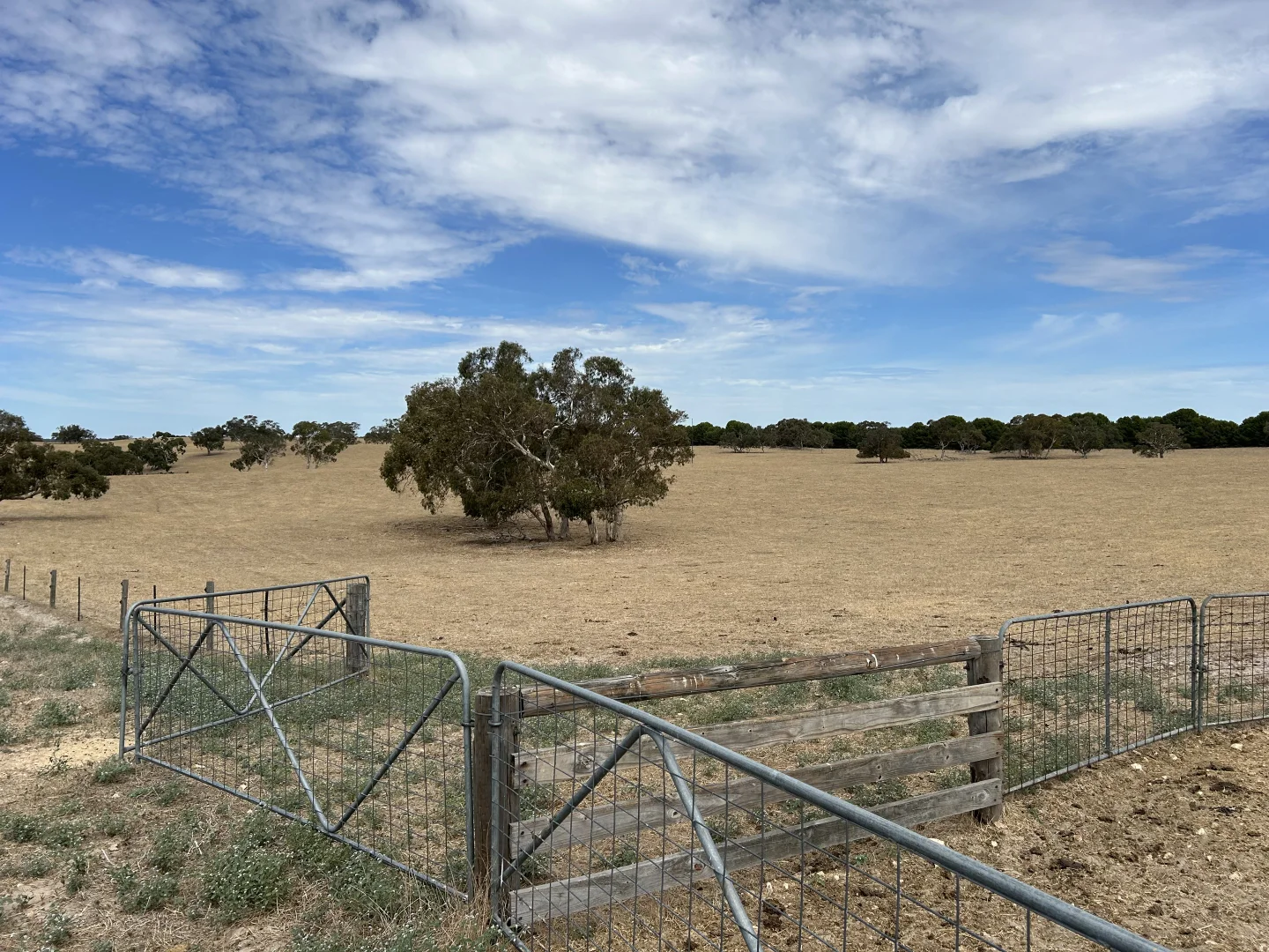 Additional image 14 of Lot 189 and 323 Roy Lawries Road, Lochaber SA 5271