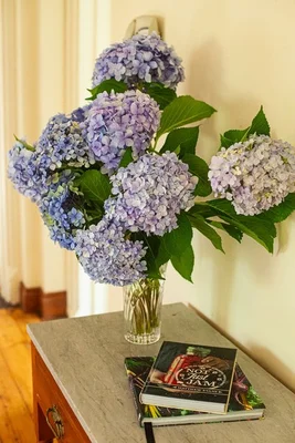 Additional image 18 of 8 Queen Street, Smeaton VIC 3364