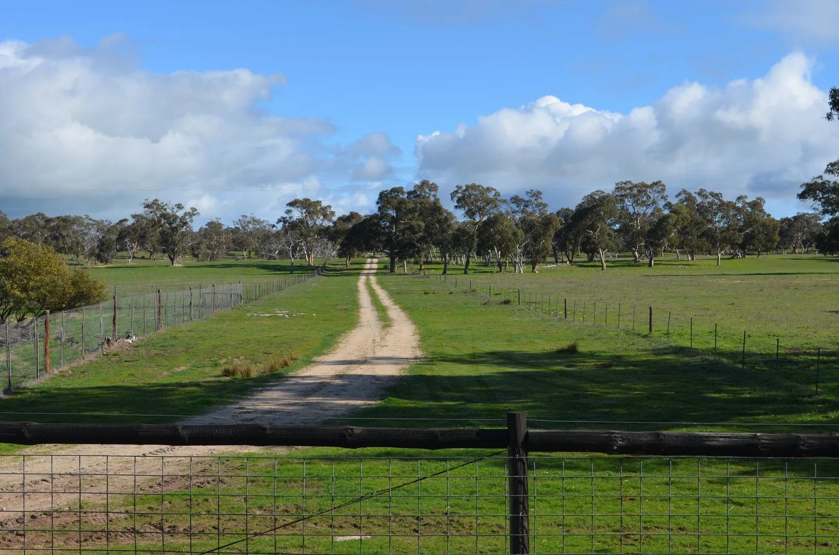 Additional image 6 of 555 Mail Bridge Road, Kingston Se SA 5275