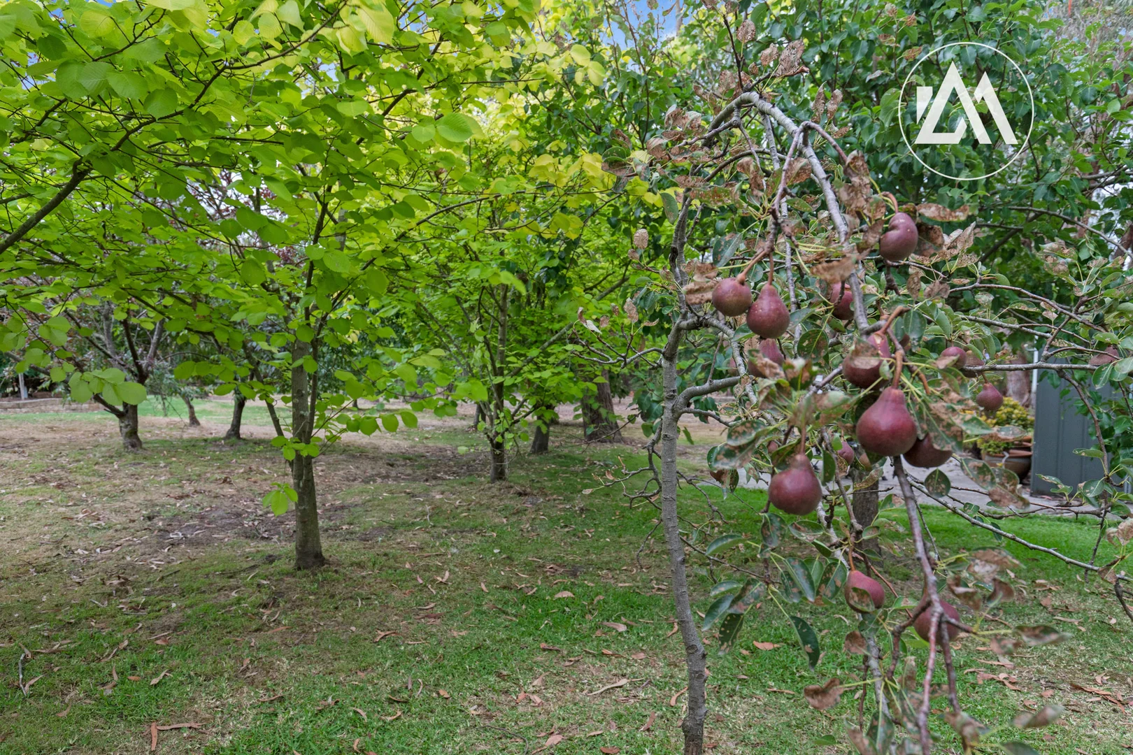 Additional image 34 of 33 Kingston Road, Langwarrin VIC 3910