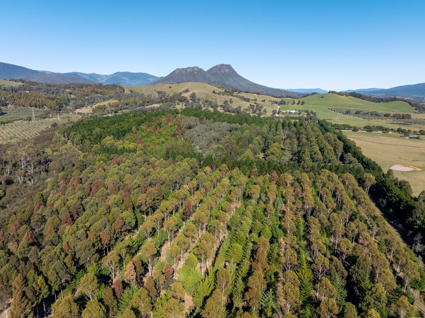 Additional image 18 of 252 Taggerty - Thornton Road, Taggerty VIC 3714