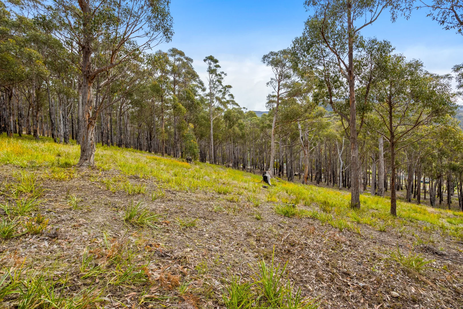 Additional image 8 of 90 Hackford Drive, Kingston TAS 7050