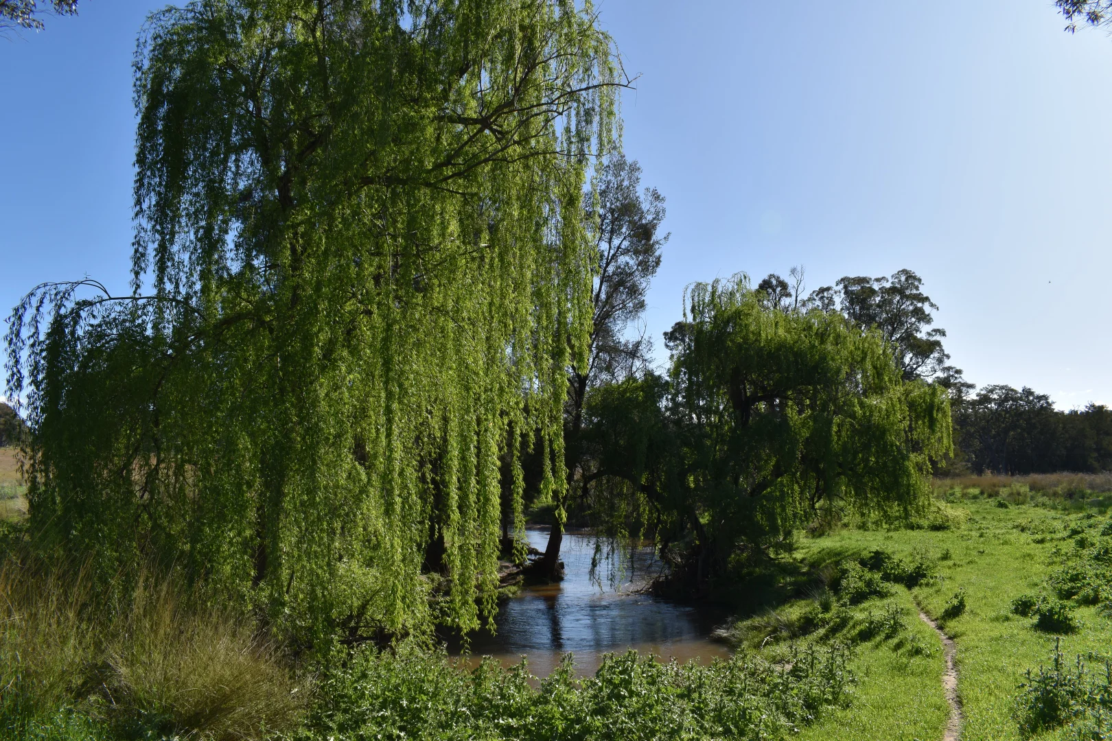 Additional image 85 of 1124 WARKTON ROAD, Coonabarabran NSW 2357