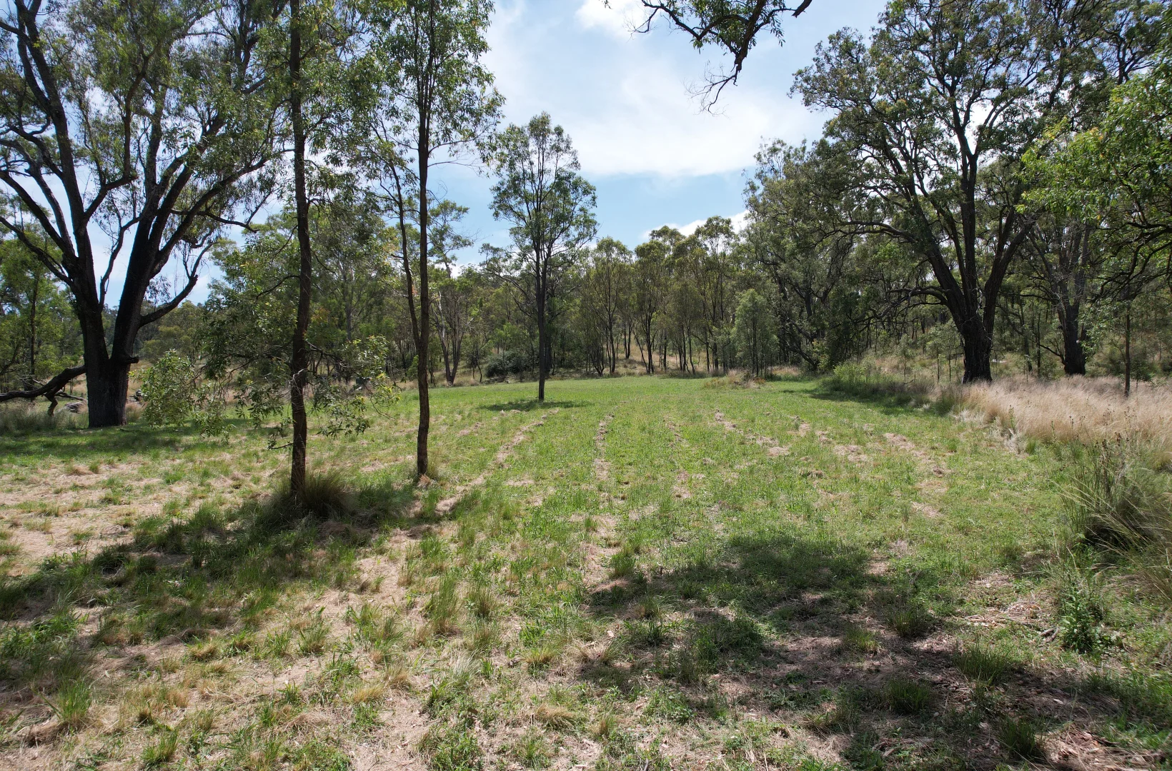 Additional image 5 of 23, 23 Pembroke Road, Cassilis NSW 2329