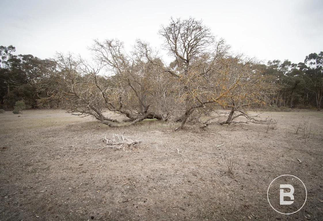 Additional image 19 of 163 Kicks Lane, Dunolly VIC 3472