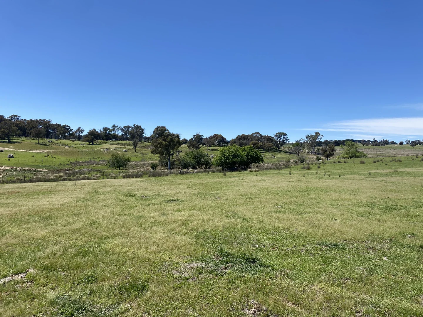 Additional image 15 of 1709 Bigga Road, Bigga NSW 2583