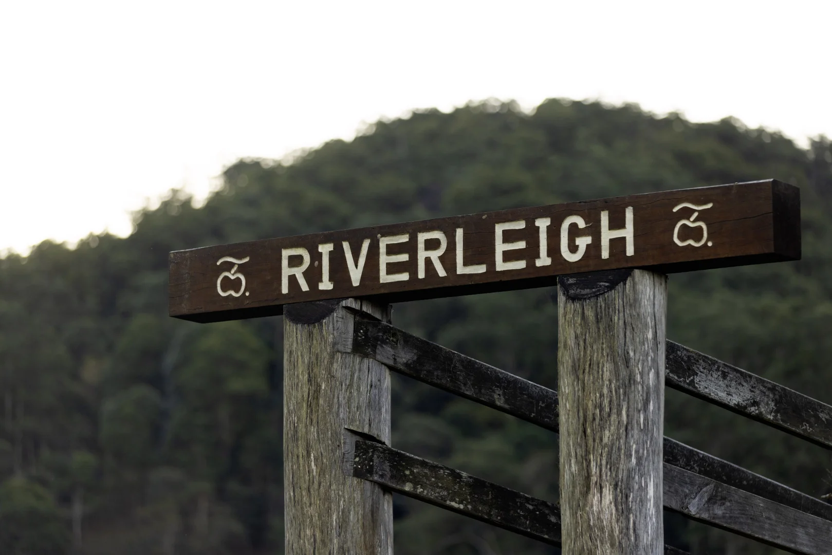 Additional image 13 of 492 River Road, Peachester QLD 4519