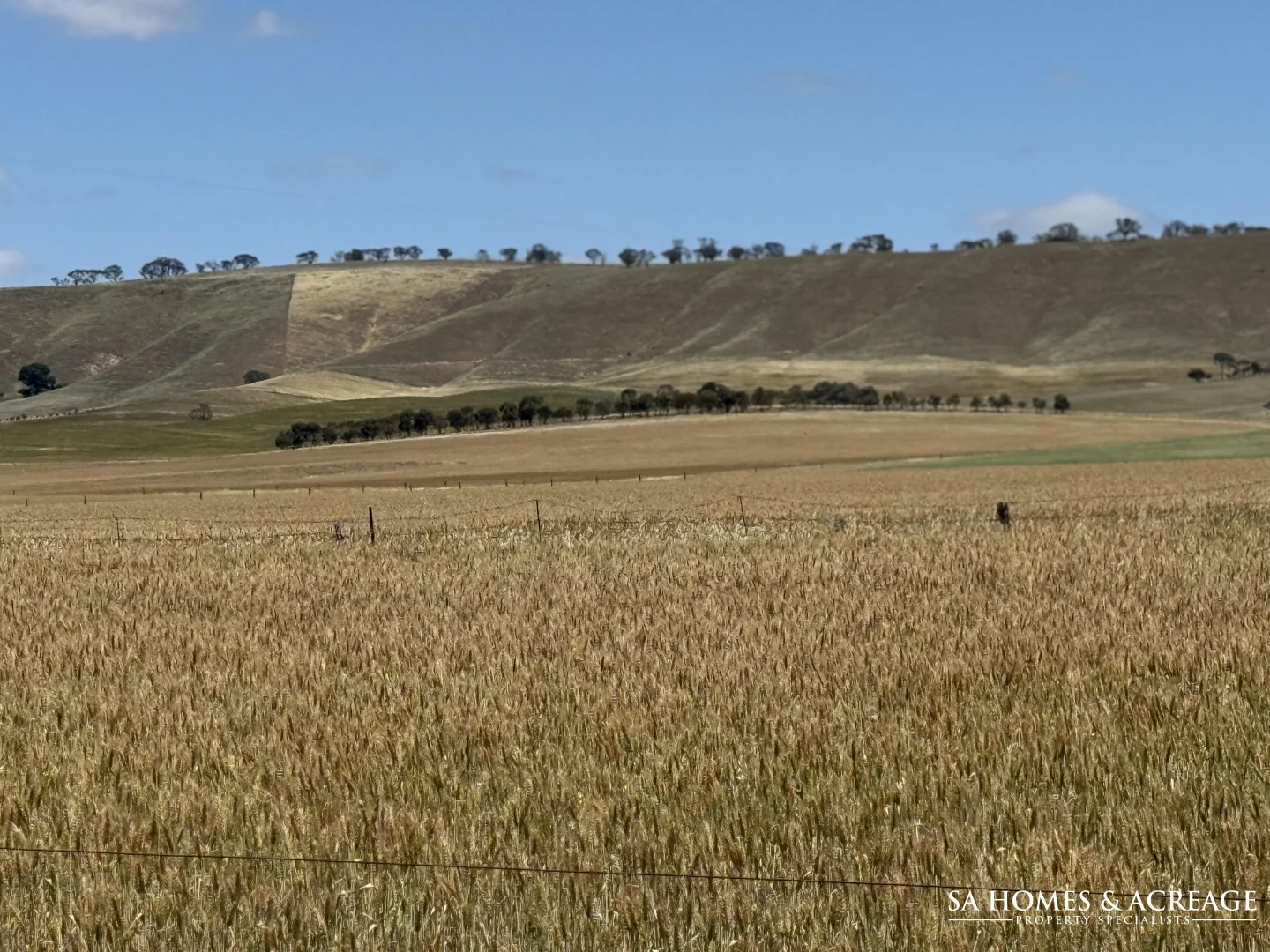 Additional image 11 of Section 407 & 408 Hills Road, Robertstown SA 5381