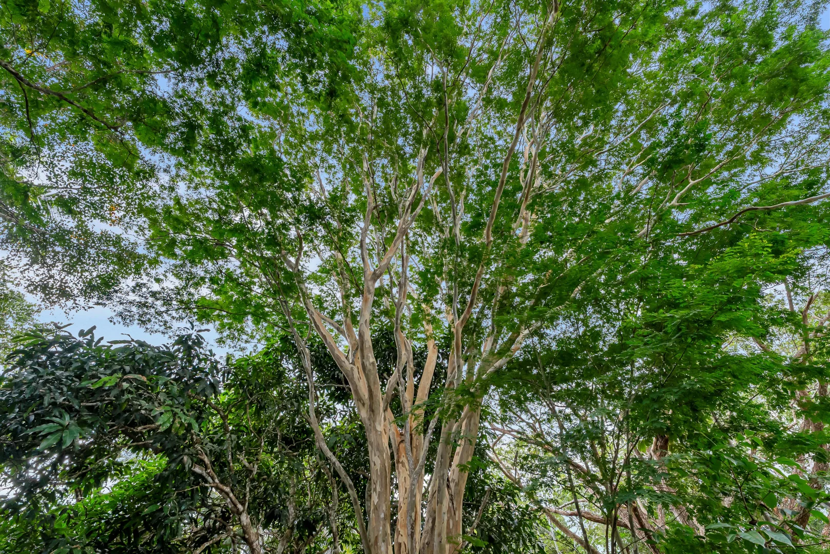 Additional image 10 of 53 Edward Elgar Close, Speewah QLD 4881