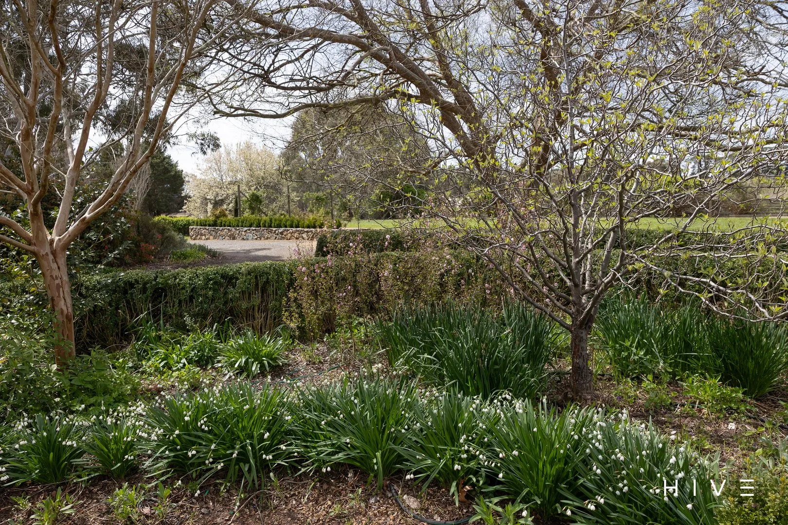 Additional image 31 of 31 David Street, Gundaroo NSW 2620