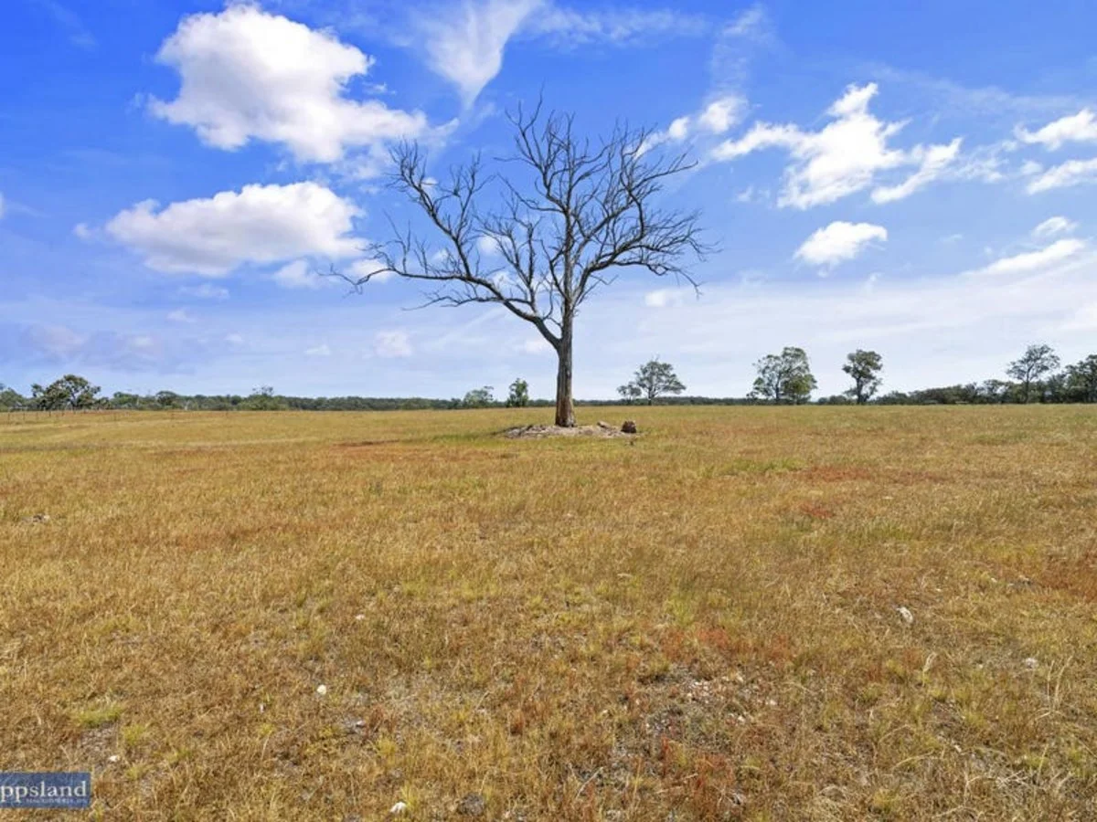 Additional image 13 of Cnr Clynes Road & Tinamba Glenmaggie Road, Tinamba VIC 3859