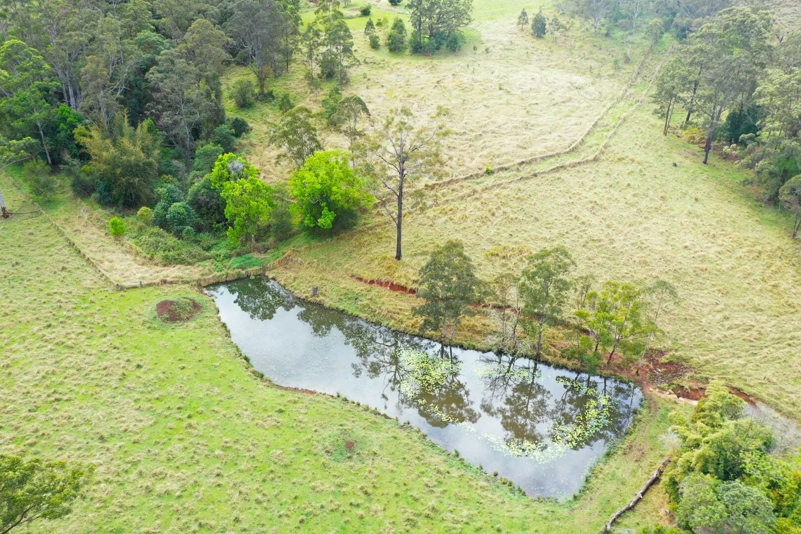 Additional image 23 of 66 Old Tweed Road, Wadeville NSW 2474