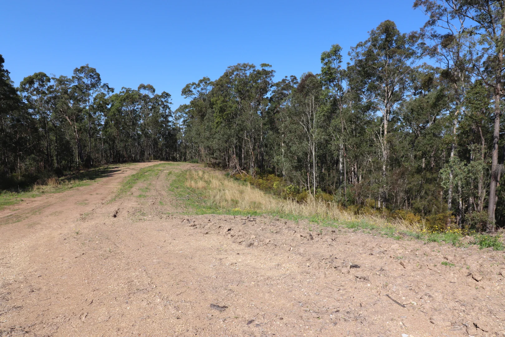 Additional image 3 of Lot 41 Collombatti Road, Collombatti NSW 2440