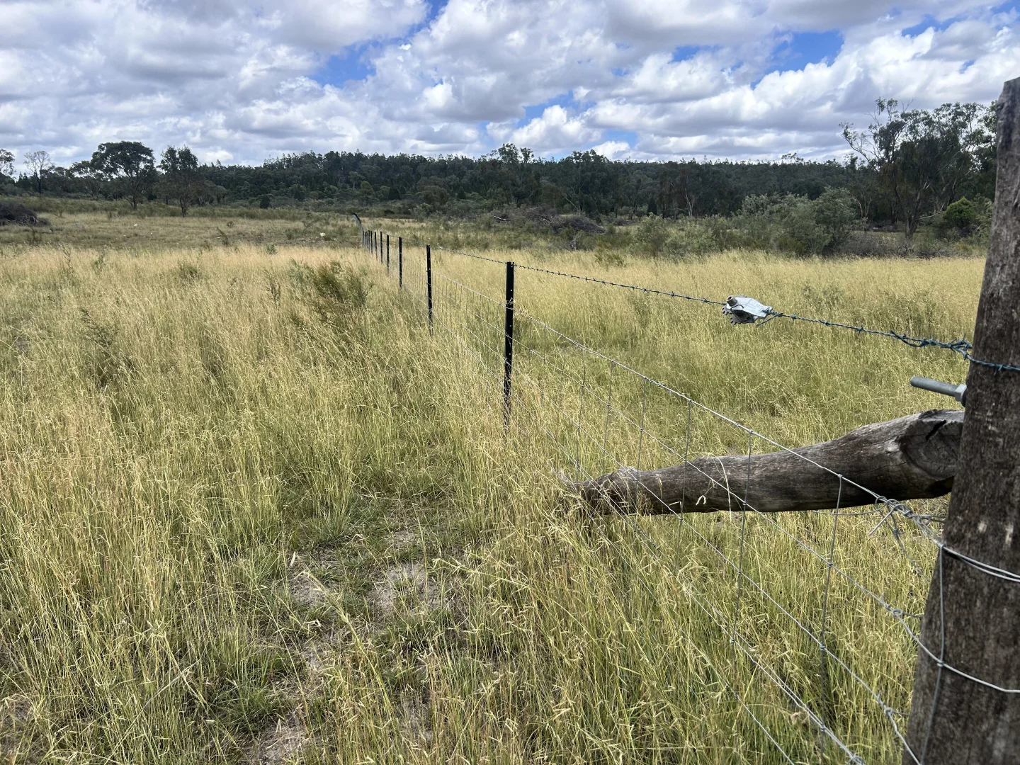 Additional image 5 of 60 Windorah Road, Inverell NSW 2360