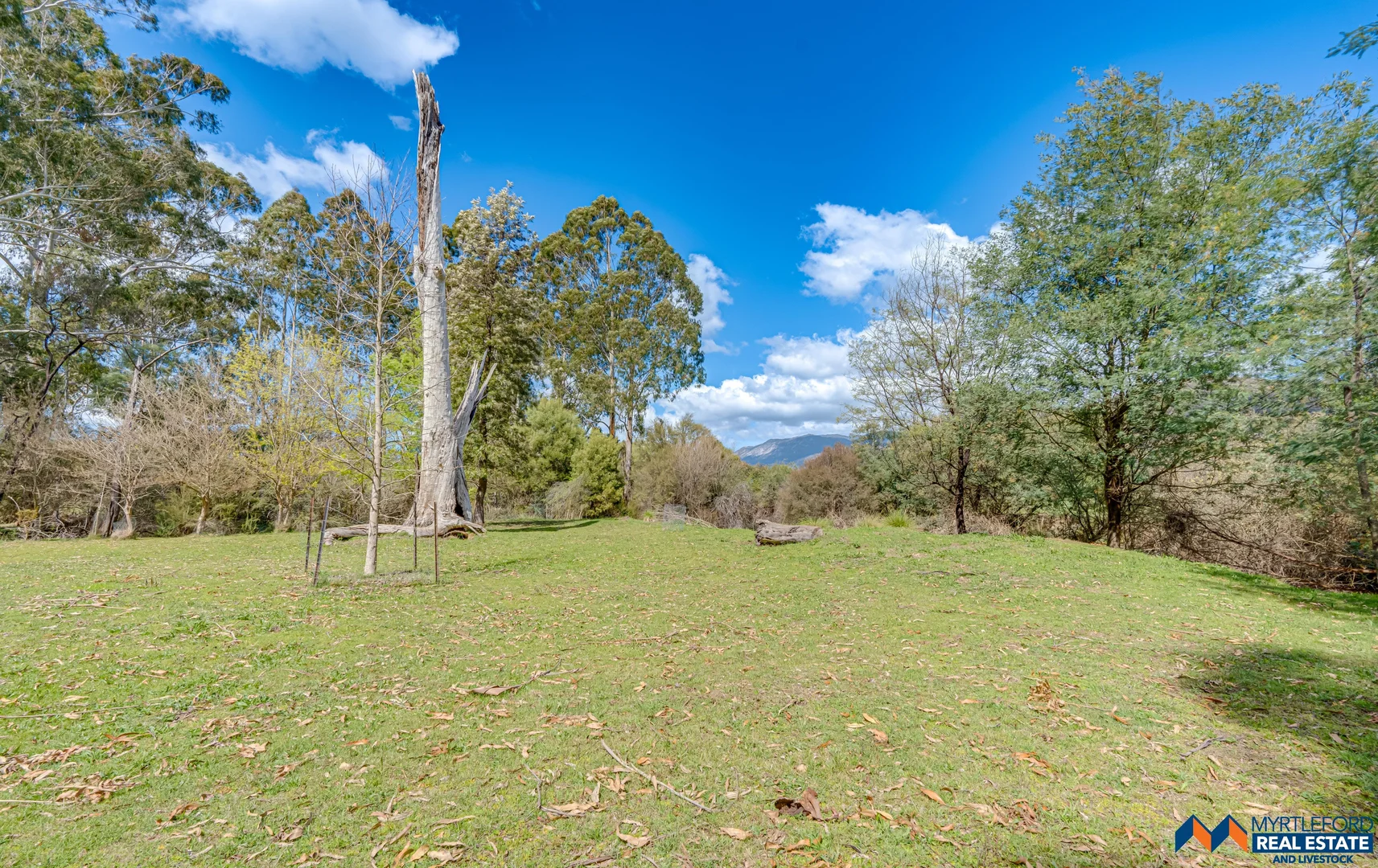 Additional image 28 of 330 Clemens Lane, Myrtleford VIC 3737