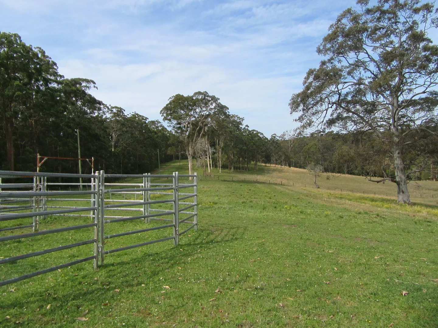 Additional image 60 of 813 Newmans Road, Topi Topi NSW 2423