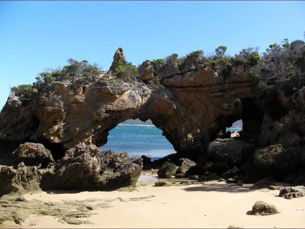 Additional image 2 of 1 Palana Road, Killiecrankie TAS 7255