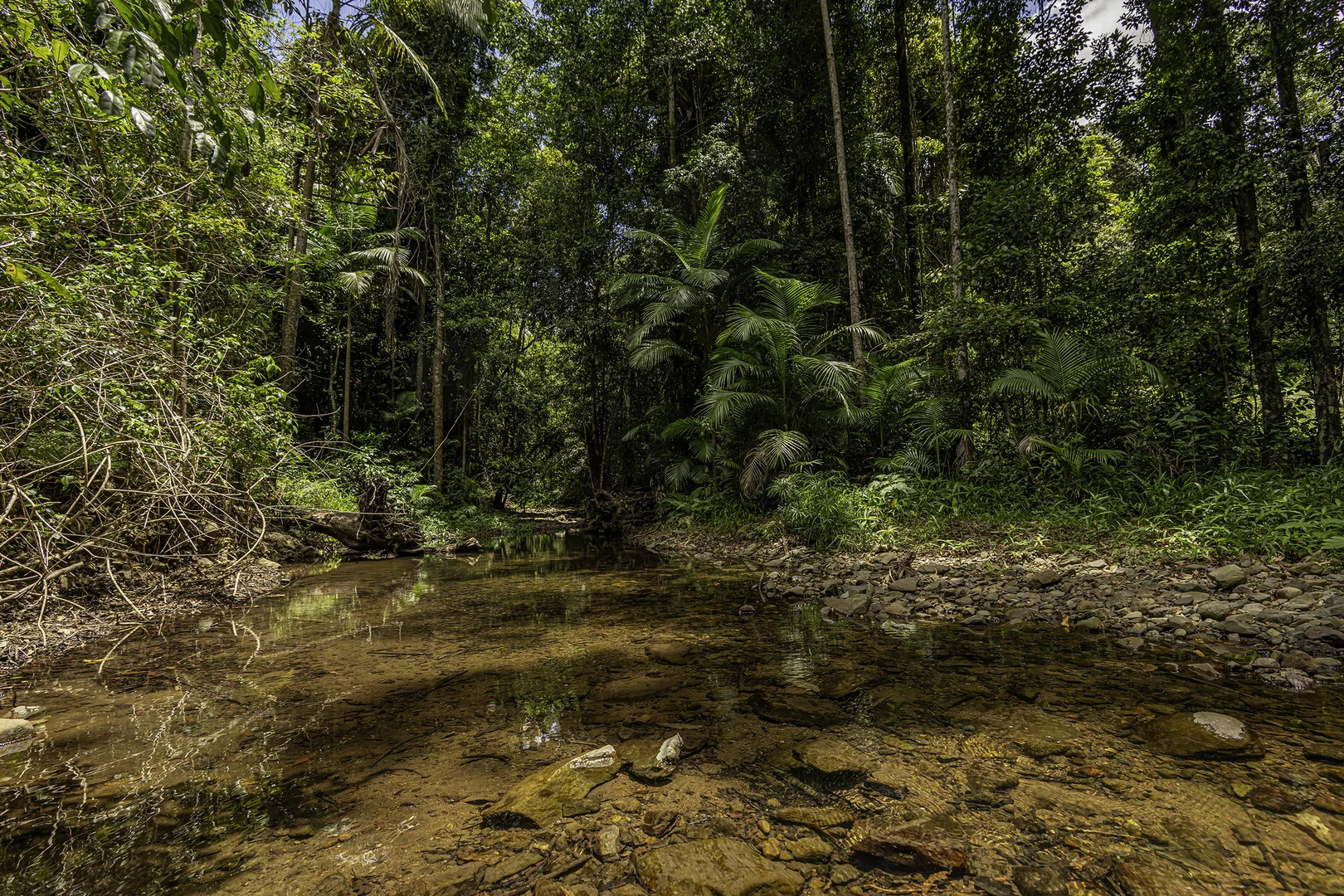 Additional image 17 of 492 River Road, Peachester QLD 4519